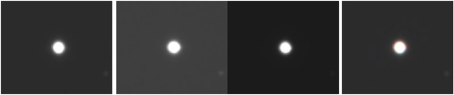 Immagine stellare sorprendentemente corretta in tutta la tricromia con immagine intra ed extrafocale identica La R; la G; La B sono state ottenute con 20 pose da 300 sec per singolo canale, è sorprendente l’assenza di residuo cromatico