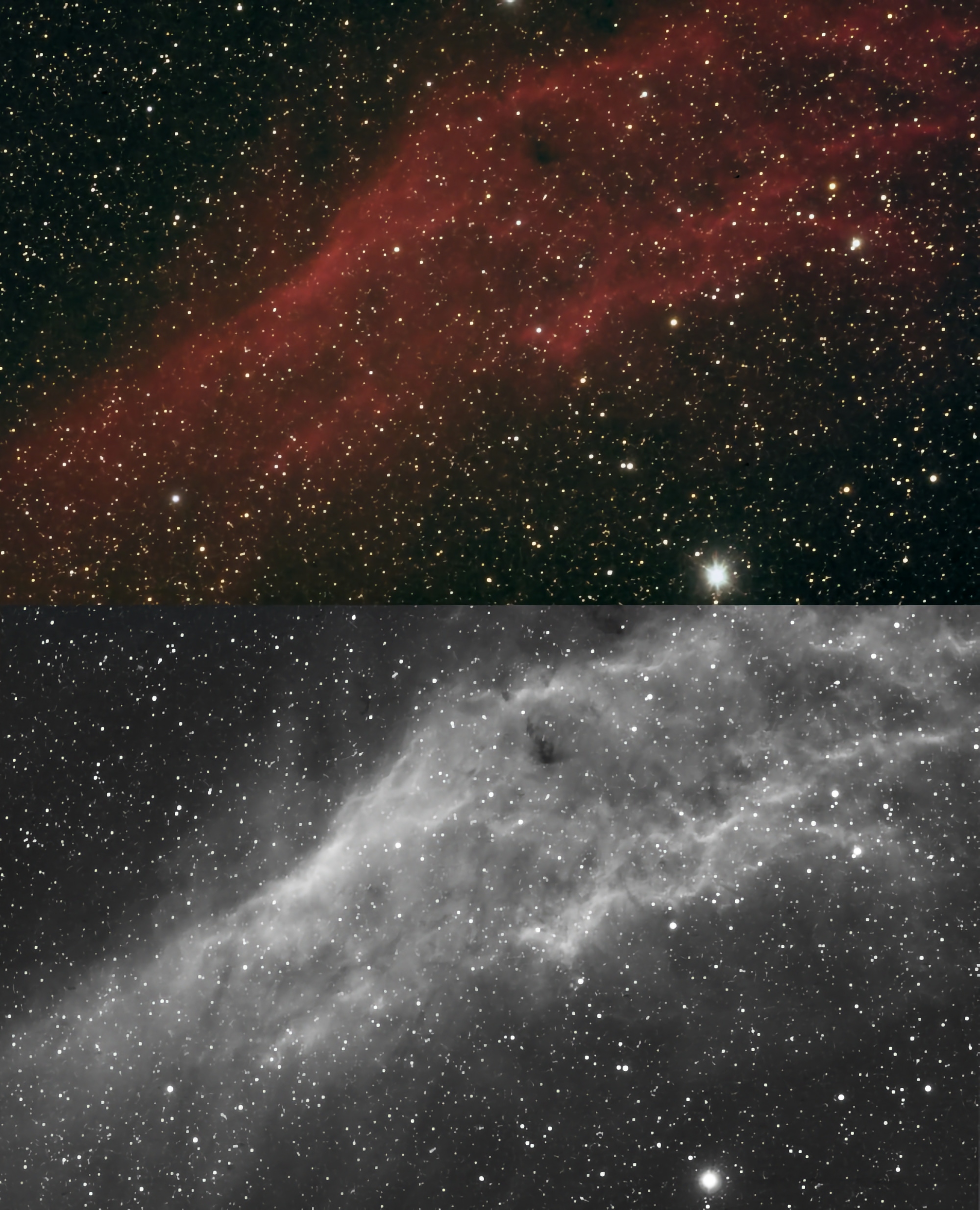 Astrophotography camera for deep-sky - what to choose: California nebula recorded with a color CCD camera (above) and a mono CCD camera with H-alpha filter (below), both with 80mm apochromatic refractor telescope (recorded by Filippo Bradaschia and Omar Cauz).